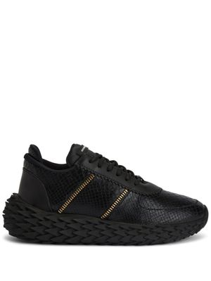 Giuseppe Zanotti baskets Urchin - Noir