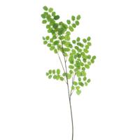 Kunsttak / kunstbloem Button Leaf - 90 cm - groen - boeket opvulling bladgroen