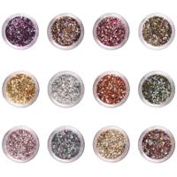 Sibel Nails Art Glitter Nail Art 12 12gr