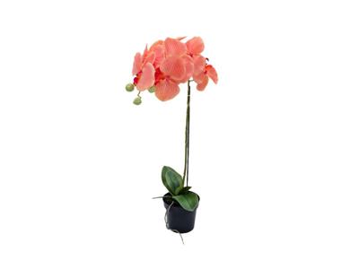 Orchidee kunstplant 1-tak 55 cm, oranje - Buitengewoon de boet