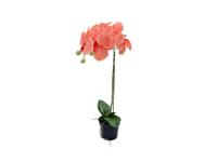 Orchidee kunstplant 1-tak 55 cm, oranje - Buitengewoon de boet