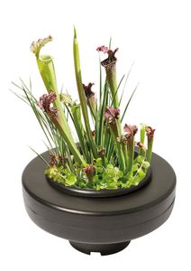 Floating Plant Basket rond 30 cm