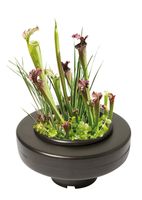 Floating Plant Basket rond 30 cm - thumbnail