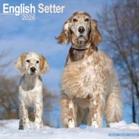 Engelse Setter Kalender 2026
