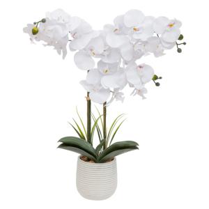 Orchidee bloemen kunstplant in sierlijke witte bloempot - witte bloemen - H60 cm   -