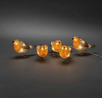 Acryl lichtsnoer l4m s5 roodborst