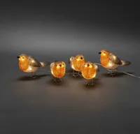 Acryl lichtsnoer l4m s5 roodborst