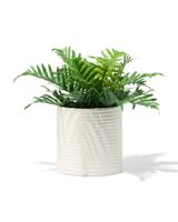 HEMA Bloempot ⌀13.3x13.4cm keramiek ribbels crème (creme)