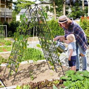 Set van 2 Metalen Tuinhekjes 180 x 50 cm Decoratief Hek voor Klimplanten Roestbestendig Bloemenrooster voor Tuin Binnenplaats Terras Zwart