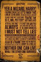 Poster Harry Potter - Quotes 61x91,5cm