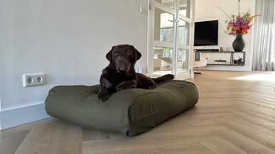 Dog's Companion® Hondenbed hunting extra small