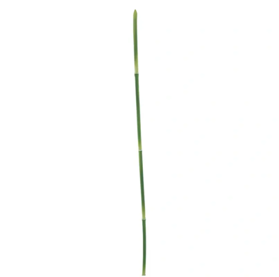 Snake grass green 108 cm kunstbloem - Nova nature