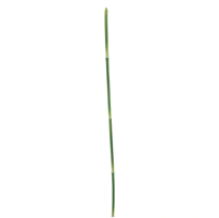 Snake grass green 108 cm kunstbloem - Nova nature