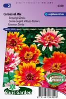 Zinnia Elegans zaden Caroussel mix