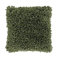Kussen Ray Winter Green
