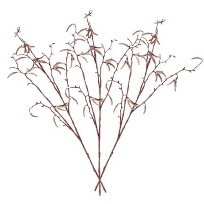 8x stuks bruine Betula pendula/berkenkatjes kunsttakken 66 cm