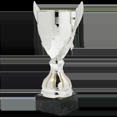 Sportprijzen Leiden Trofee Serie30