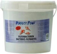 Perfect Pond Filterbacteriën 10kg - Voor een Gezonde, Heldere Vijver & Actief Biofiltersysteem