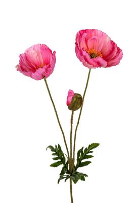 Papaver l76cm cerise kunstbloem Louis Maes - Louis maes