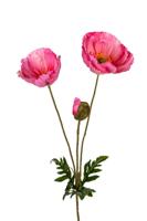 Papaver l76cm cerise kunstbloem Louis Maes - Louis maes