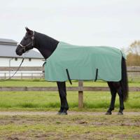 VidaXL Paardendeken speciale groen polyester