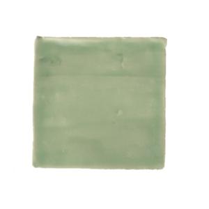 Terre d&apos;Azur Porto Tegel 10x10cm Groen F43