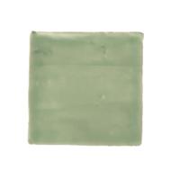 Terre d&apos;Azur Porto Tegel 10x10cm Groen F43
