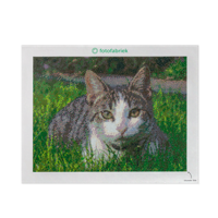 Diamond painting 60 x 60 cm