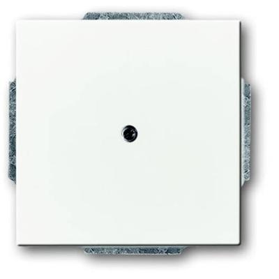 Busch-Jaeger 2CKA001710A3163 Afdekking Verkeerswit, Wit 1 stuk(s)