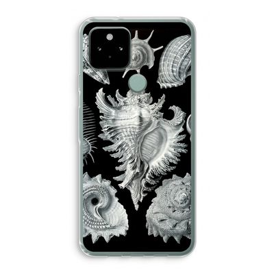 Haeckel Prosobranchia: Google Pixel 5 Transparant Hoesje