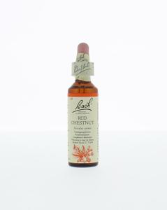 Bach Red chestnut/rode kastanje