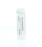 Homeoden Heel Causticum D12 6 Gram