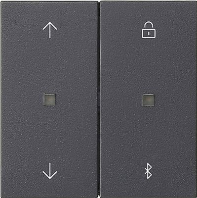 GIRA S3000 JAL+KL BT 55 ANTR