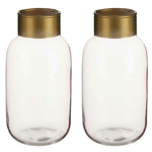 Bloemenvazen 2x stuks - luxe decoratie glas - roze/goud - 12 x 24 cm