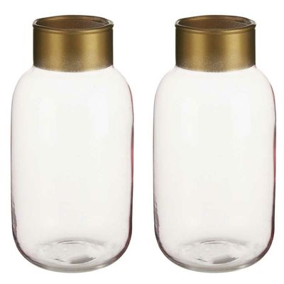 Bloemenvazen 2x stuks - luxe decoratie glas - roze/goud - 12 x 24 cm
