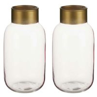 Bloemenvazen 2x stuks - luxe decoratie glas - roze/goud - 12 x 24 cm