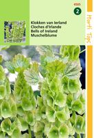 Zaden Moluccella Klokken van Ierland Hortitops - Hortitops