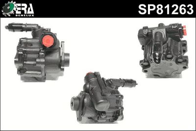 Stuurpomp SP81263