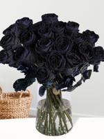 20 zwarte rozen