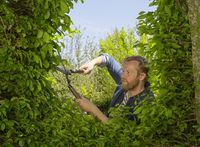 GARDENA Heggenschaar NatureCut heggenschaar 12300-20 - thumbnail