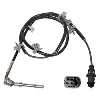 Uitlaatgastemperatuursensor 100836