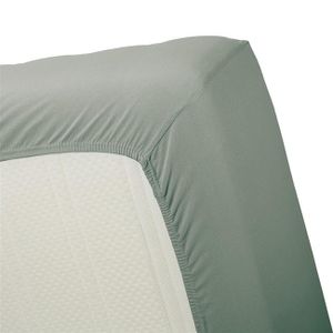 Beddinghouse Hoeslaken Jersey Green-Lits-jumeaux (180 x 200/210/220 cm)