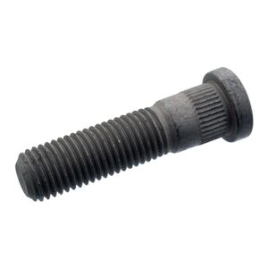 Wielbout 100164