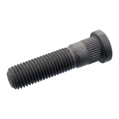 Wielbout 100164