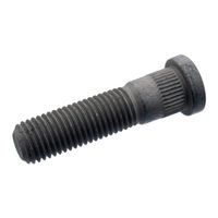 Wielbout 100164