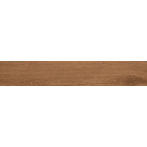 Ragno Ossimori R9TJ Vloertegel 200X1200 Miele 9,5Mm Extra Mat Ret.R10