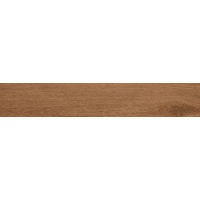 Ragno Ossimori R9TJ Vloertegel 200X1200 Miele 9,5Mm Extra Mat Ret.R10