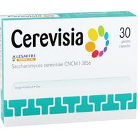 Cerevisia - thumbnail