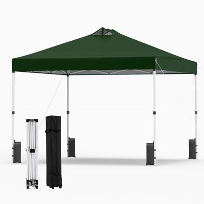 Pop-up Paviljoentent van 3 x 3 m Partytent met Stevig Frame en Zilverkleurig Dak Draagbaar Paviljoen met 4 Zandzakken Haringen en Touwen Opvouwbaar Paviljoen met Roltas-Groen