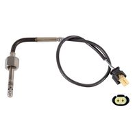Uitlaatgastemperatuursensor 170483